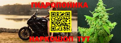 эйфоретик Свободный
