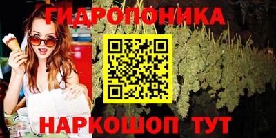 прущие крисы Севастополь